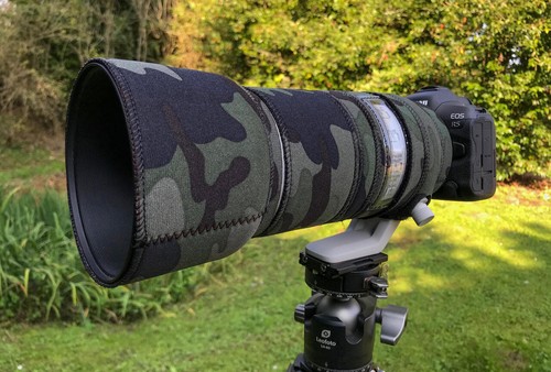 Canon 100 500mm - rf, l
